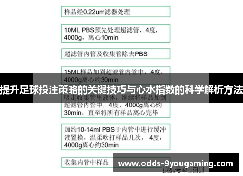 提升足球投注策略的关键技巧与心水指数的科学解析方法