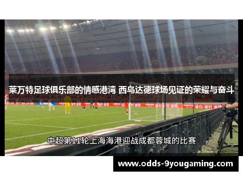 莱万特足球俱乐部的情感港湾 西乌达德球场见证的荣耀与奋斗