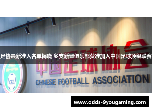 足协最新准入名单揭晓 多支新晋俱乐部获准加入中国足球顶级联赛