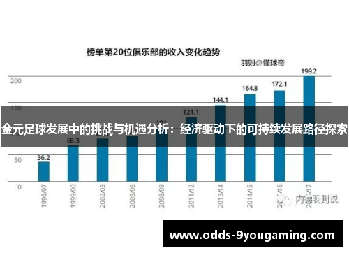 金元足球发展中的挑战与机遇分析：经济驱动下的可持续发展路径探索