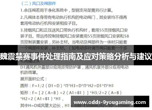 魏震禁赛事件处理指南及应对策略分析与建议